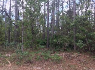 5080 N Red Ribbon Point, Beverly Hills, FL 34465