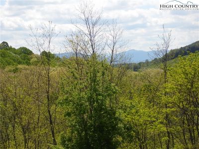 TBD Ginkgo Drive, Sparta, NC, 28675