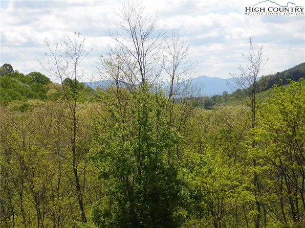 TBD Ginkgo Drive, Sparta, NC 28675