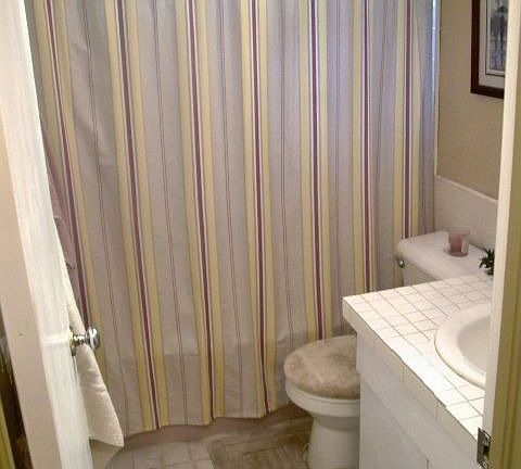 Hall/guest bathroom 