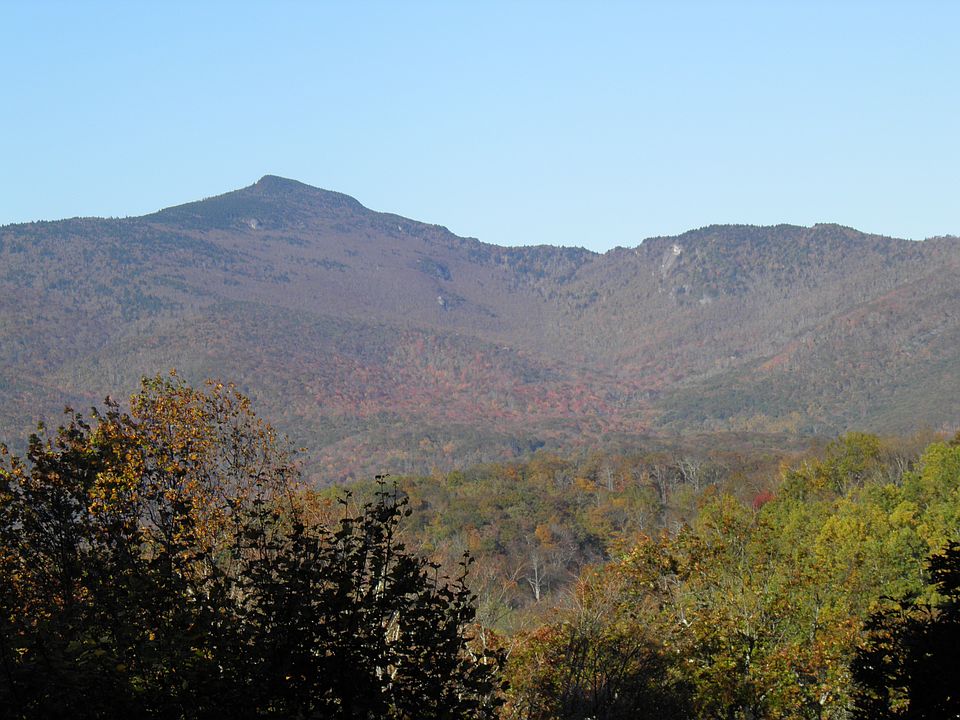 Grandfather view from porch