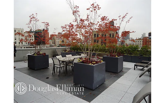 Rented by Douglas Elliman | media 14