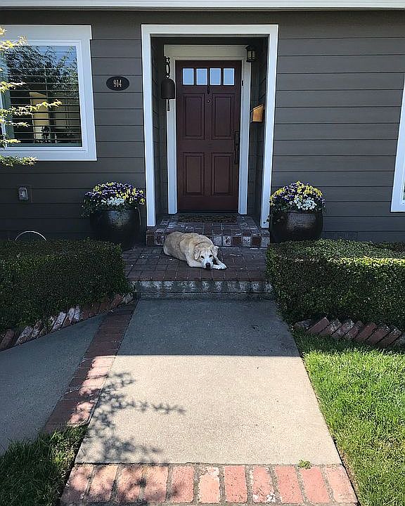 2nd image of 914 E 16th Ave