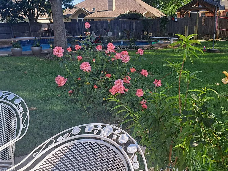 2102 Mikasa Ct — Photo 16