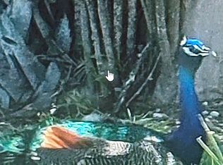 2915 Honeysuckle Run Ln, Ruskin, FL 33570