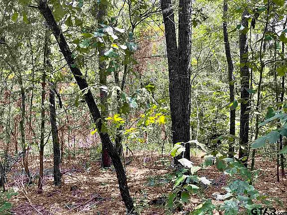 5th image of County Road 2450