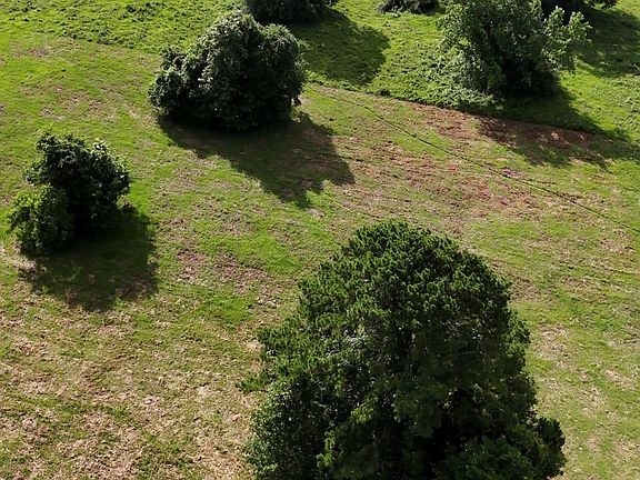 4th image of 873 Jones Rd