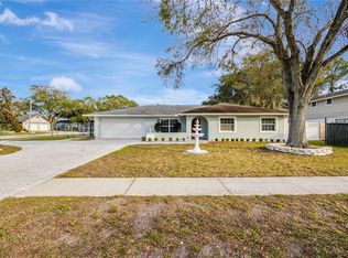 1300 Foggy Ridge Pkwy, Lutz, FL 33559