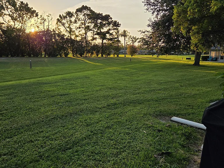 Golf view
