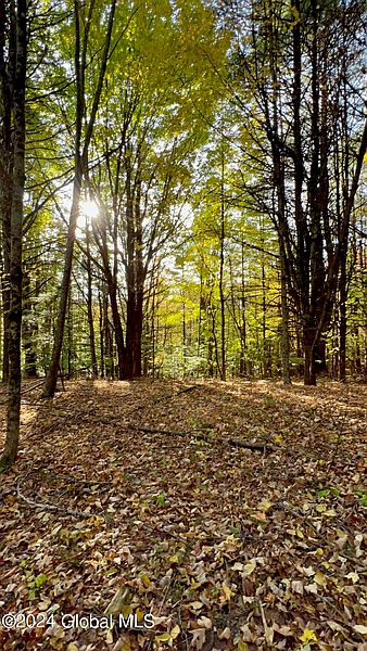 2nd image of Lot 9 Lake View Hill Rd