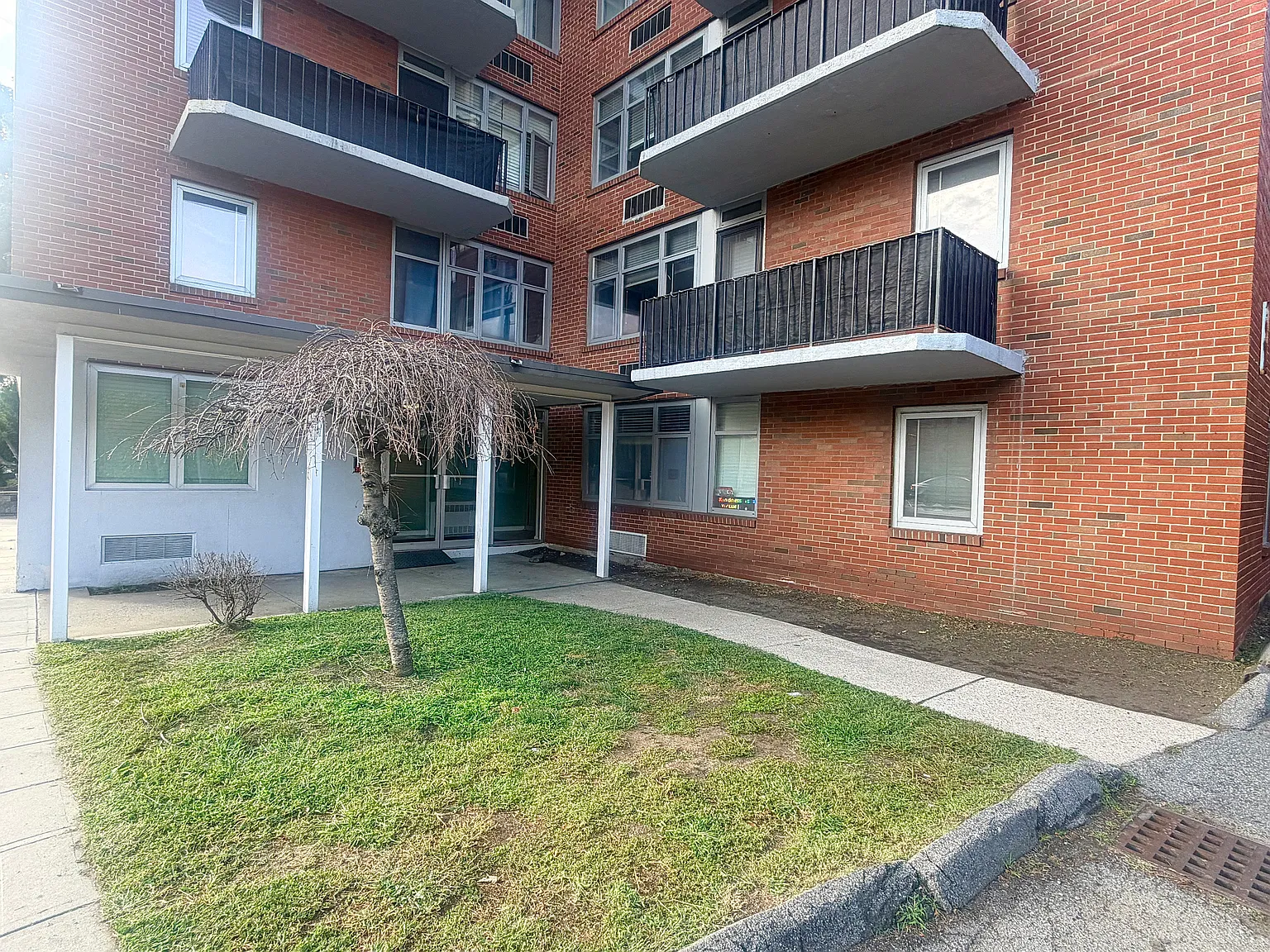 1 bed, 527 sqft, $2,000 — Photo 3