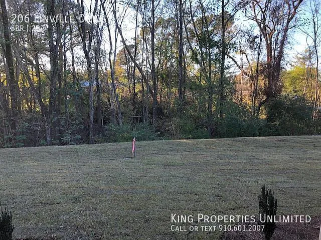 206 Linville Dr — Photo 25