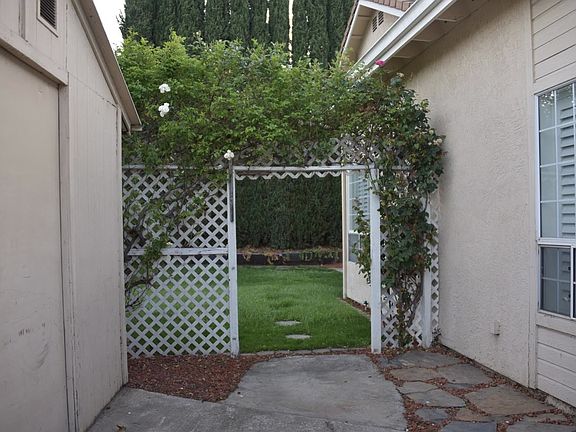 Side yard with shed