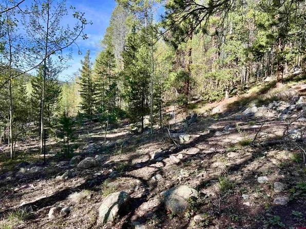 9900 County Road 888, White Pine, CO 81230