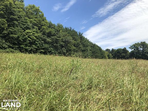 Looking up from hay field.