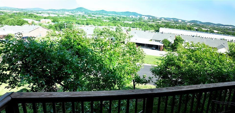 Daytime from Deck