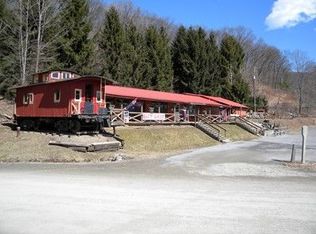 8 Shin Hollow Rd, Gaines, PA 16921