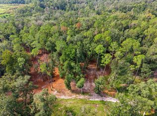 1050 KATIE WOOD TRAIL LOT DES, BROOKSVILLE, FL 34602