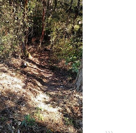 Enter from Combs St. to get the feel of this double parcel.