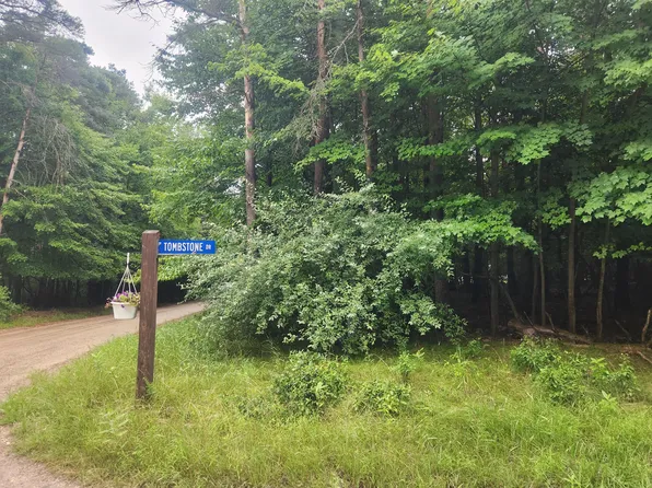 10315 Tombstone Dr, Stanwood, MI 49346