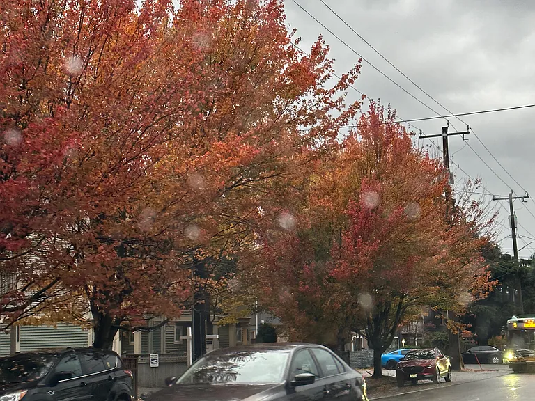 12719B Greenwood Ave N #B — Photo 40