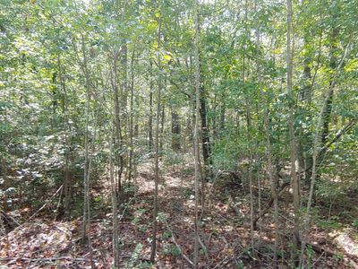 106 Shropshire Ln, West End, NC, 27376