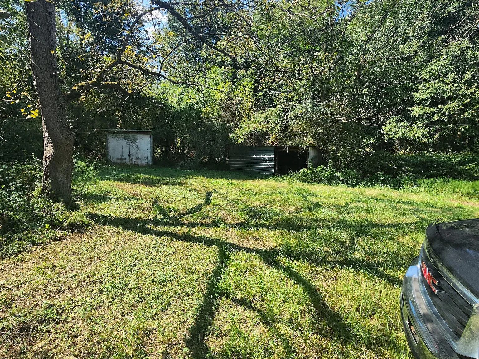 2 bed, 2.0 bath, 1000 sqft, $1,250 — Photo 2