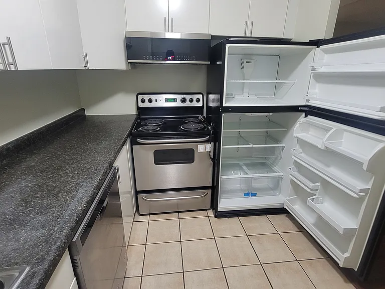 233 E Erie St #2201 — Photo 10