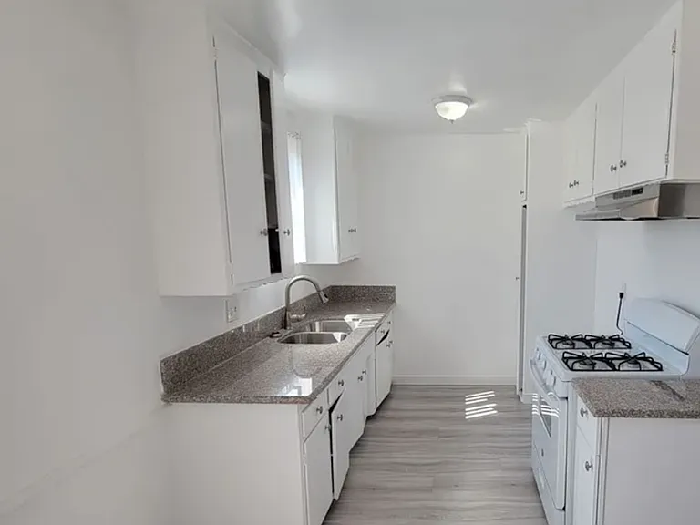 19401 HAYNES — Photo 2