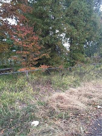 2nd image of 180 Summit Dr