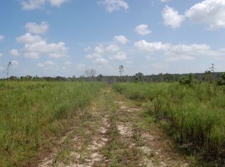 167 Stewart Rd, Eastman, GA 31023