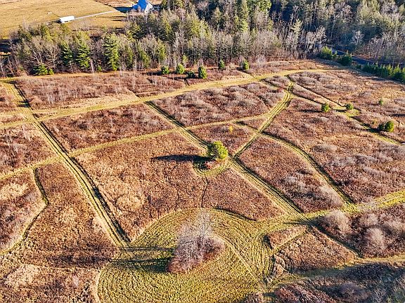 5th image of 143 Swift Rd