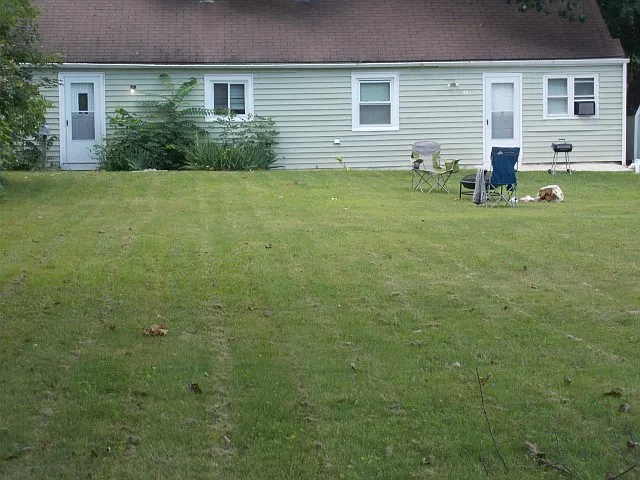 44 Windsor Rd