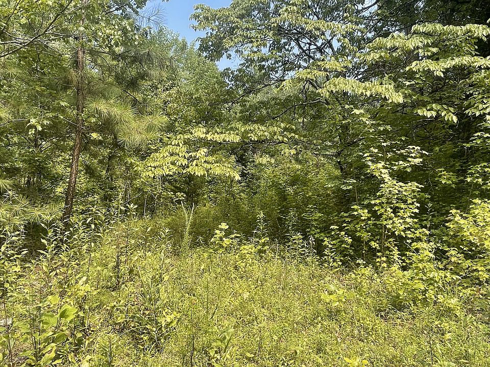 1st image of 282 County Road 285