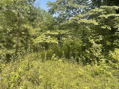282 County Road 285, Niota, TN, 37826