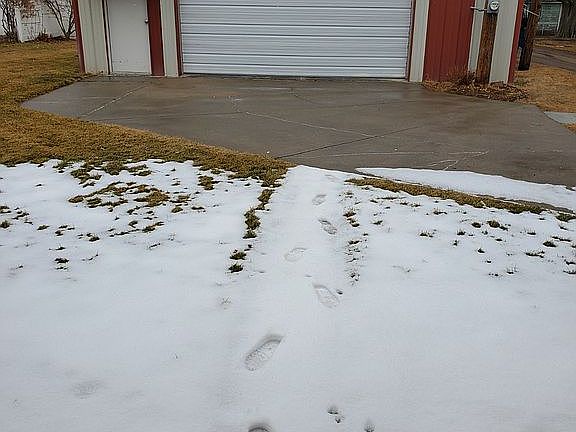 Shop in back 39 x 29