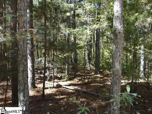 0 Loftis Rd, Abbeville, SC 29620