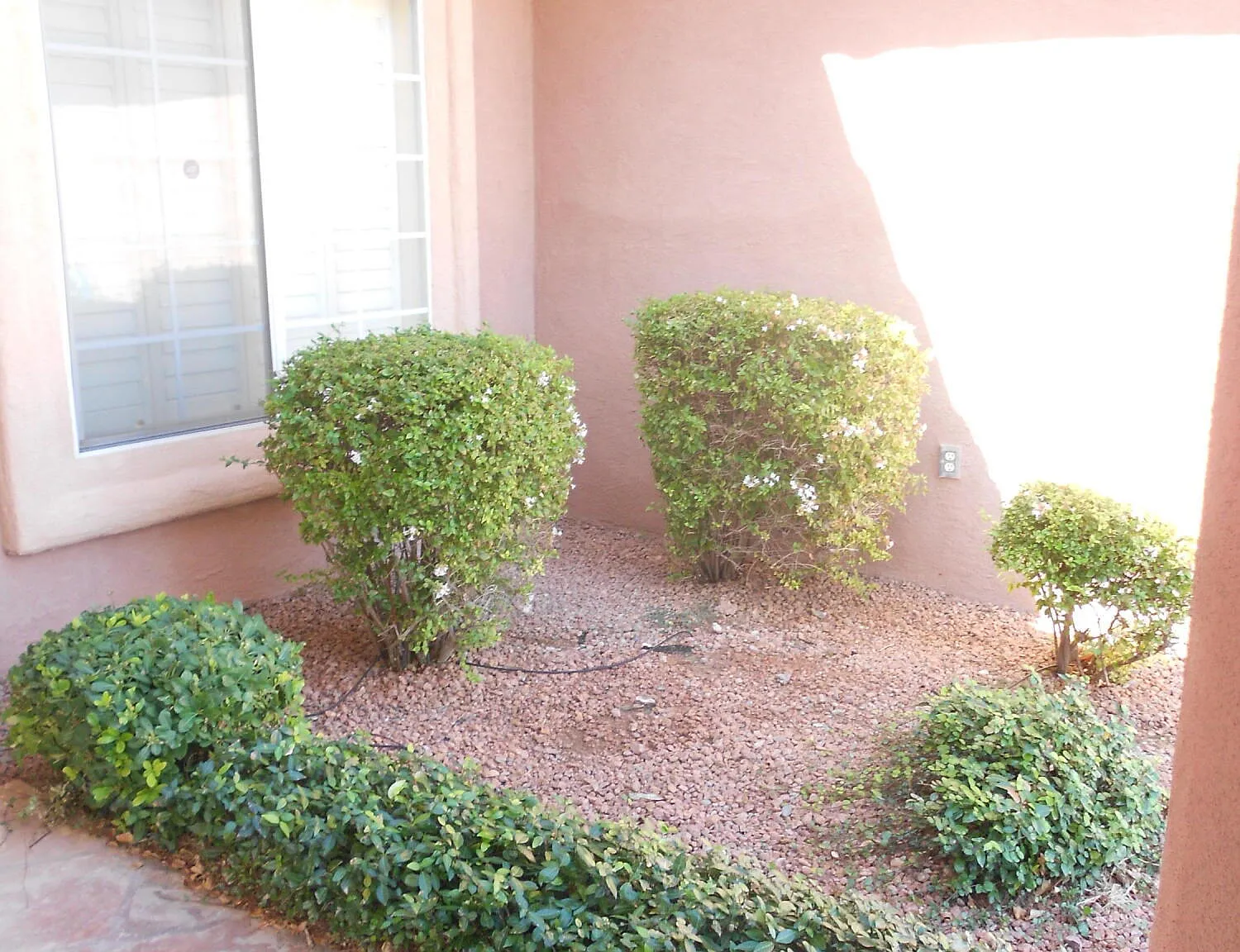 5 bed, 3.0 bath, 2638 sqft, $3,750 — Photo 4