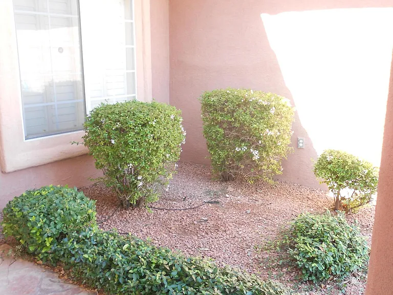 1201 Brown Ridge Pl — Photo 4