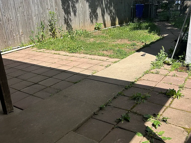 242 Daffodil Ct — Photo 10