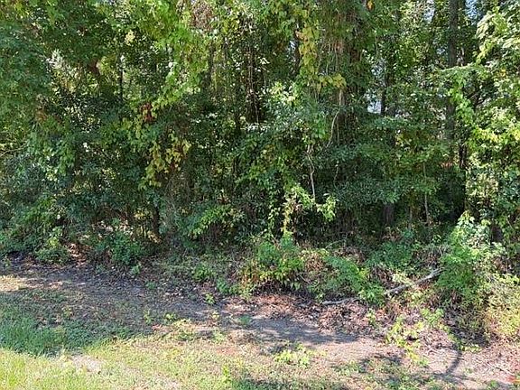 2nd image of Beaver Den Dr