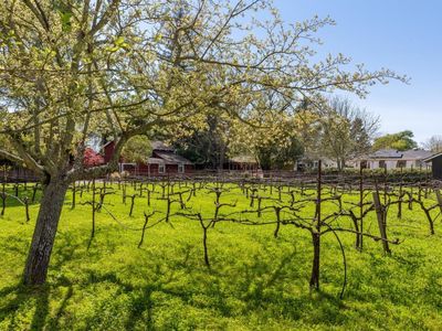 0 3rd Street E, Sonoma, CA, 95476