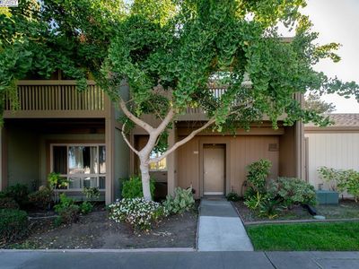 3308 Fir Ave, Alameda, CA, 94502