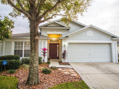 13209 Early Run Ln, Riverview, FL, 33578