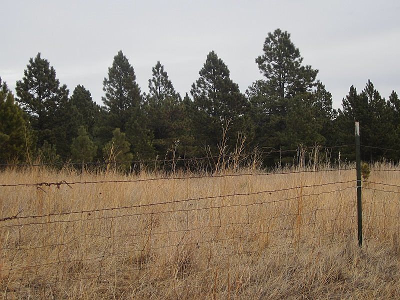 1st image of Tbd Argyle Rd