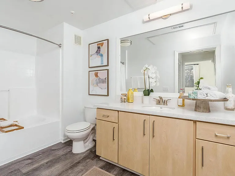 Modern Bathroom with Light Wood Vanity and Large Mirror