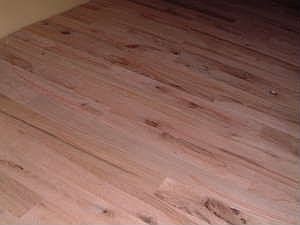 Hardwood Floors (1st and 2nd Floor)