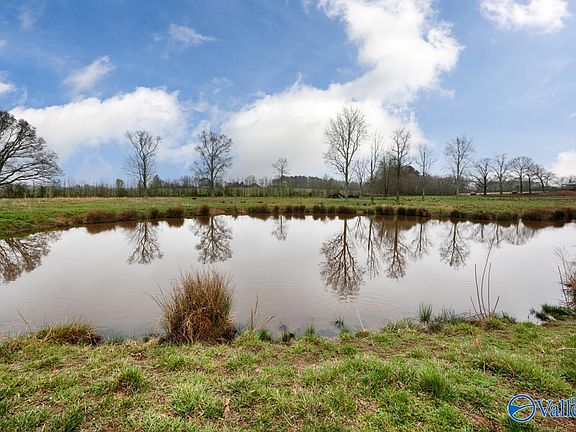 5th image of 8A Shannon Rd