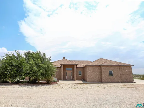 270 Onsurez Rd, Loving, NM 88256