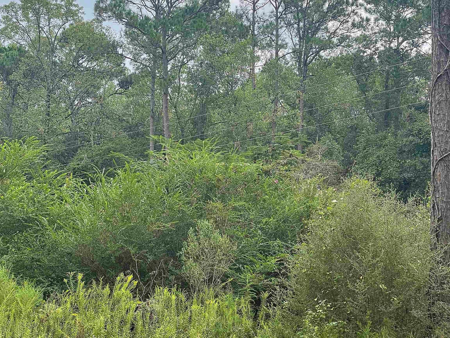 30524 Bob Gantt Rd, Andalusia, AL 36421 MLS 23545 Zillow